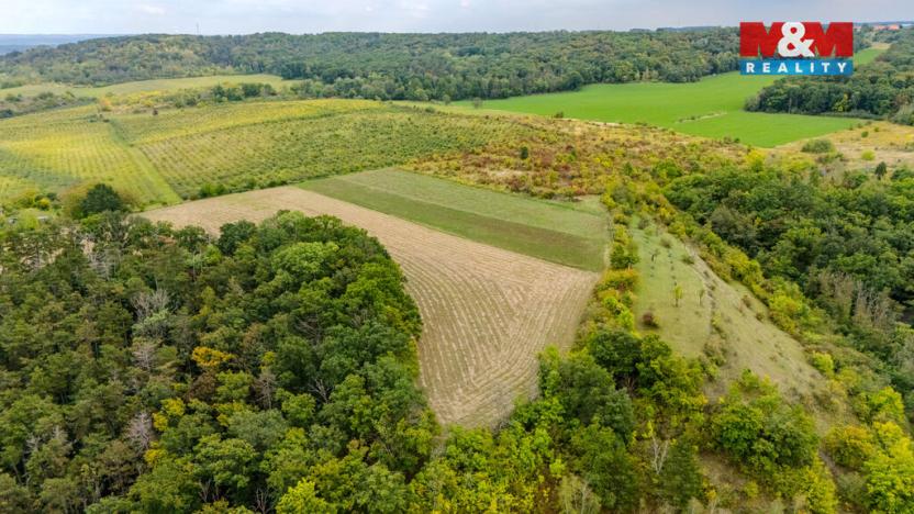 Prodej pole, Roudnice nad Labem, 11093 m2