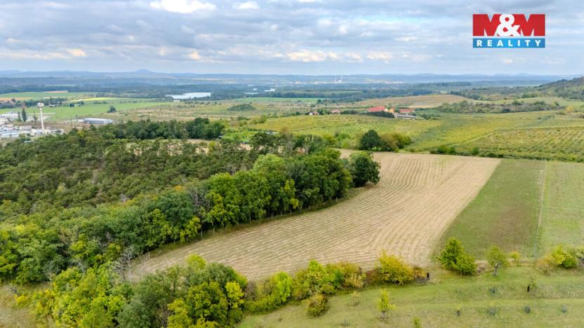 Prodej pole, Roudnice nad Labem, 11093 m2