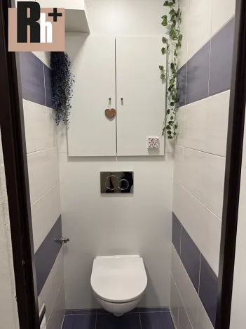 Prodej bytu 3+1, Orlová, Lesní, 56 m2