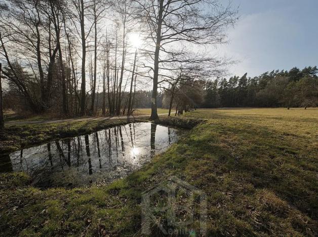 Prodej zemědělské usedlosti, Slabčice, 109 m2