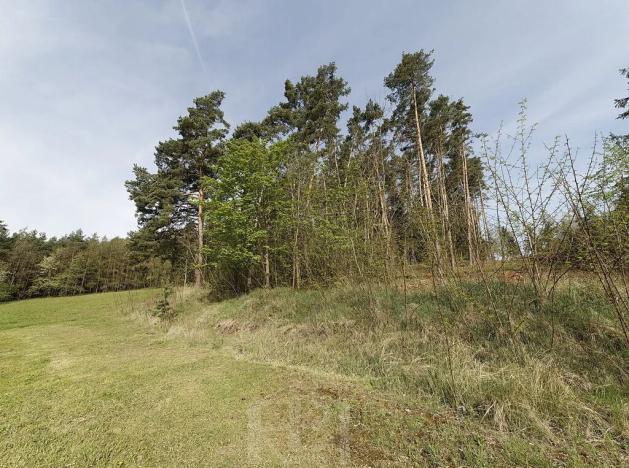 Prodej zemědělské usedlosti, Slabčice, 109 m2