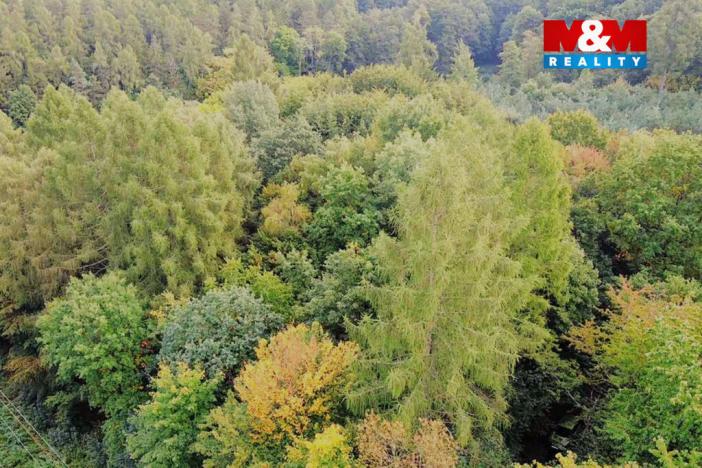 Prodej zahrady, Kostelec nad Černými lesy - Kostelec nad Černými Lesy, 10316 m2