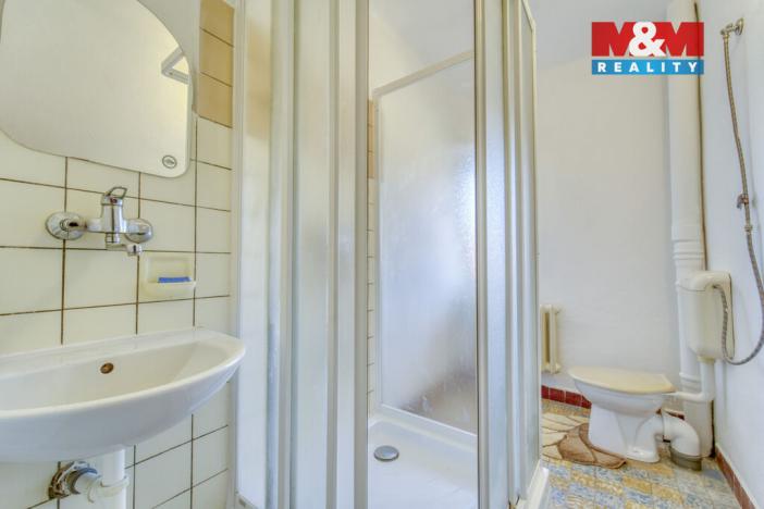 Pronájem rodinného domu, Dlažov, 223 m2