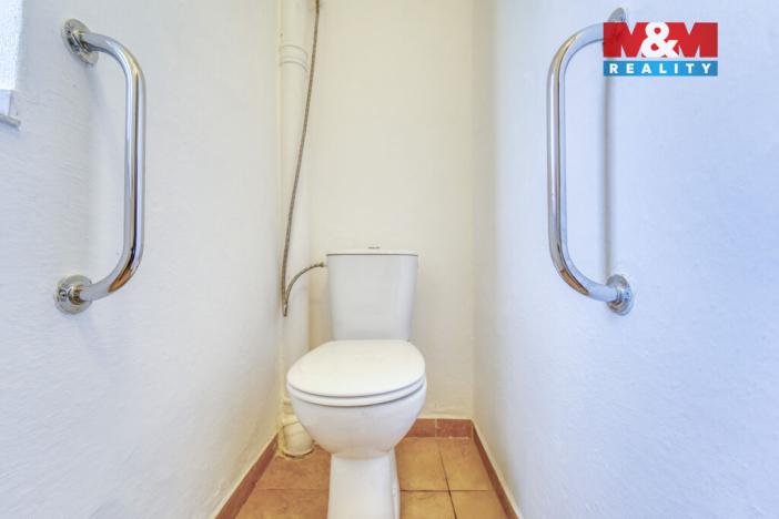 Pronájem rodinného domu, Dlažov, 223 m2