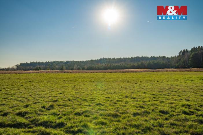 Prodej pozemku pro bydlení, Nová Ves, 1098 m2