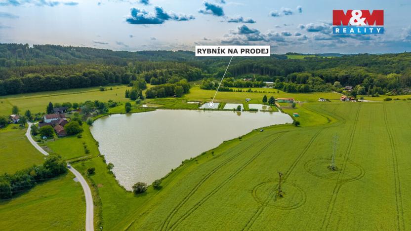 Prodej rybníku, Ostružno, 3377 m2