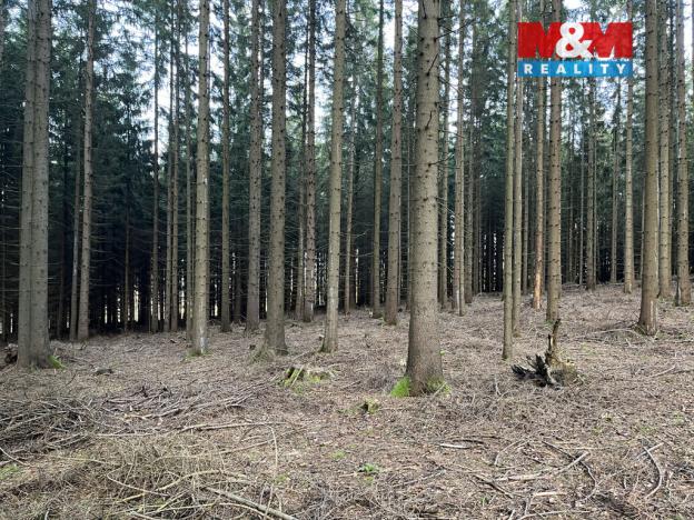 Prodej lesa, Borovnice, 38344 m2