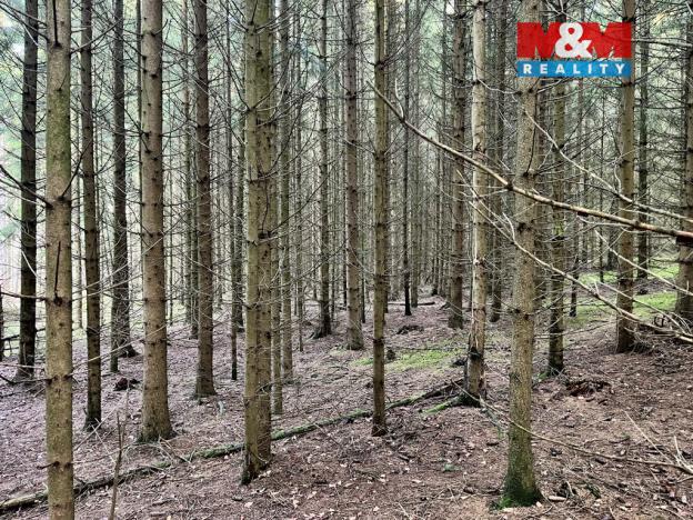 Prodej lesa, Borovnice, 38344 m2
