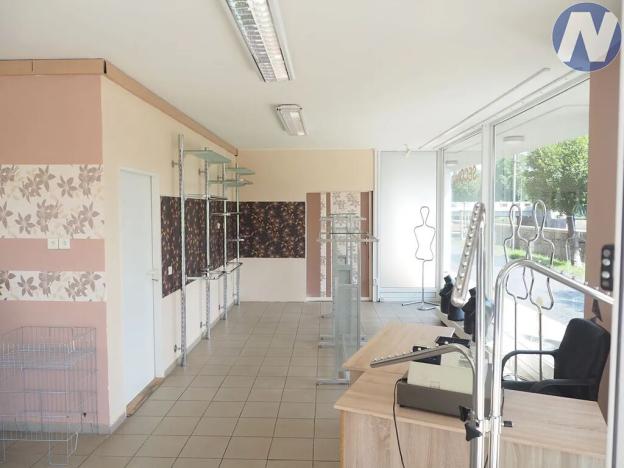 Pronájem obchodního prostoru, Písek, Čechova, 50 m2