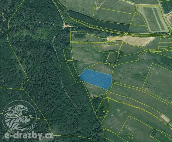 Dražba pole, Václavy, 18821 m2