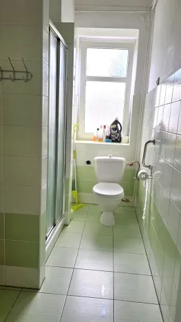 Prodej bytu 1+1, Mladé Buky, 49 m2