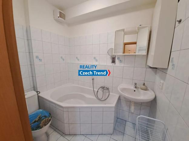 Pronájem bytu 1+kk, Olomouc, Okružní, 27 m2