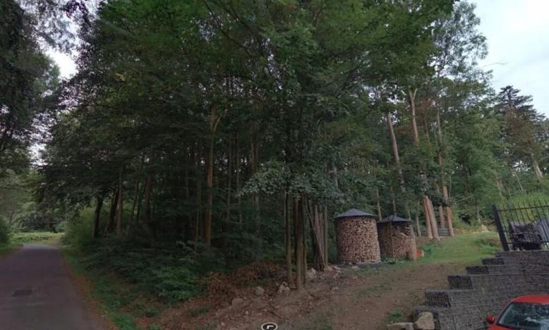 Prodej podílu lesa, Velké Hamry, 2705 m2