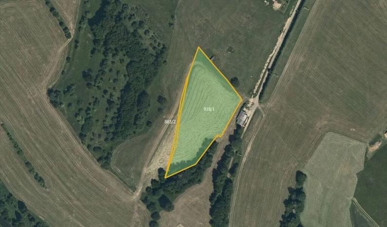 Prodej louky, Letohrad, 11377 m2