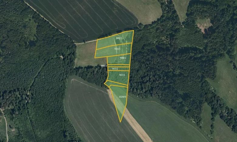 Prodej louky, Letohrad, 11377 m2