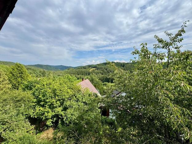 Prodej chaty, Borotice, 49 m2