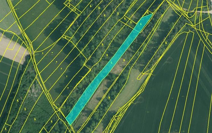 Prodej lesa, Temelín, 6256 m2