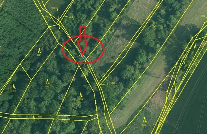 Prodej lesa, Temelín, 6256 m2