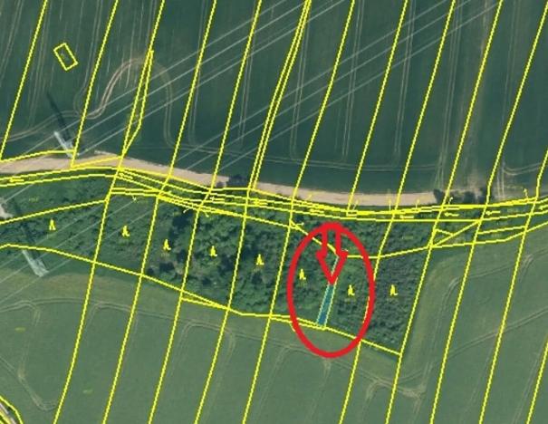 Prodej lesa, Temelín, 6256 m2