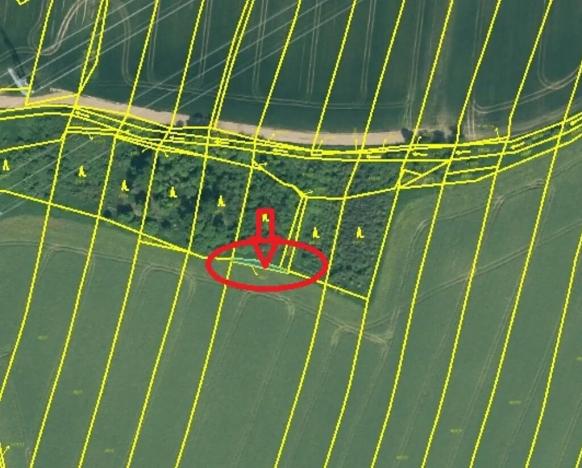 Prodej lesa, Temelín, 6256 m2