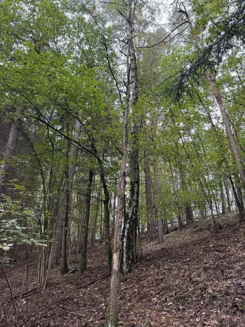 Prodej pozemku, Slavče, 13051 m2