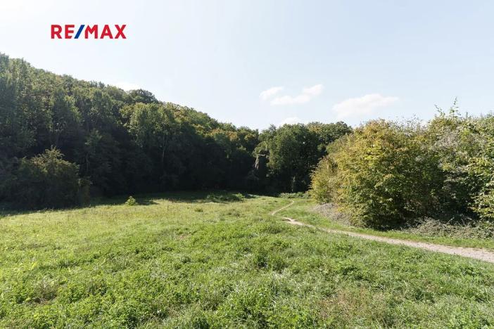 Prodej bytu 1+kk, Praha - Smíchov, Jeřabinová, 26 m2