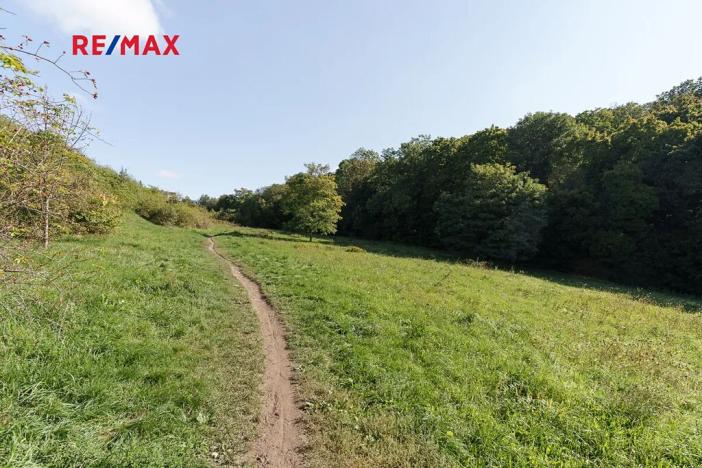 Prodej bytu 1+kk, Praha - Smíchov, Jeřabinová, 26 m2