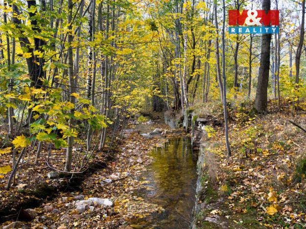 Prodej rybníku, Nové Město pod Smrkem, 28832 m2