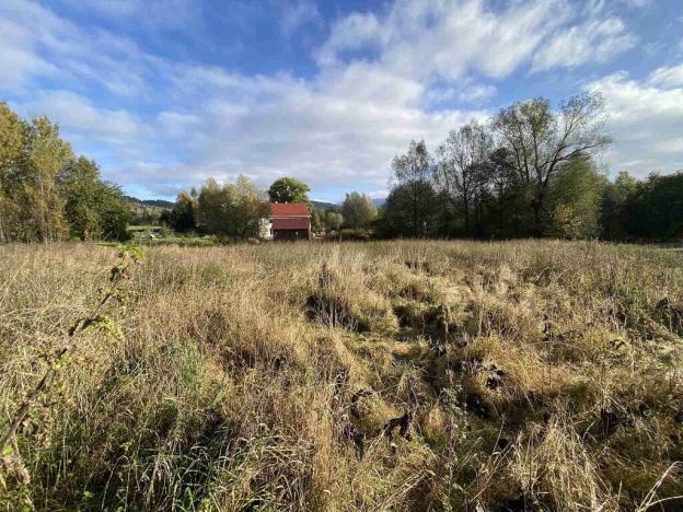 Prodej pozemku, Králíky - Horní Lipka, 3207 m2