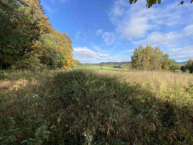 Prodej pozemku, Králíky - Horní Lipka, 3207 m2