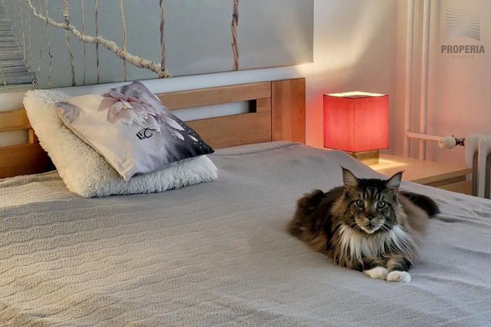 Prodej bytu 4+1, Brno, Absolonova, 105 m2