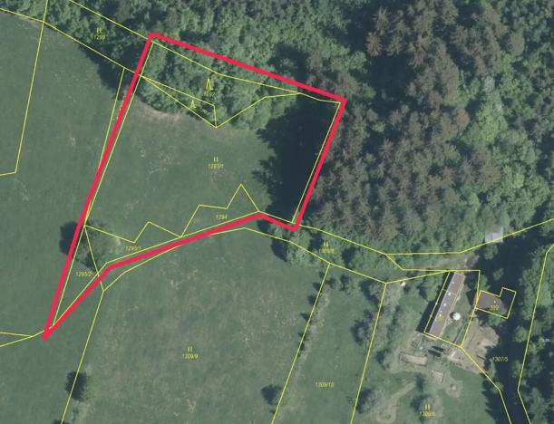 Prodej louky, Prlov, 4463 m2