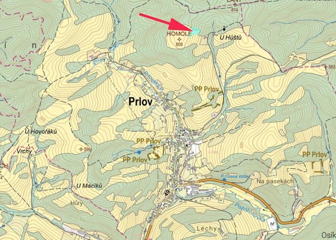 Prodej louky, Prlov, 4463 m2