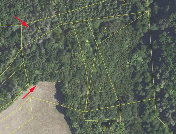 Prodej louky, Nezabudice, 6426 m2