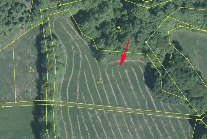 Prodej podílu louky, Nedašov, 1151 m2