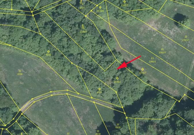 Prodej podílu lesa, Nedašov, 632 m2