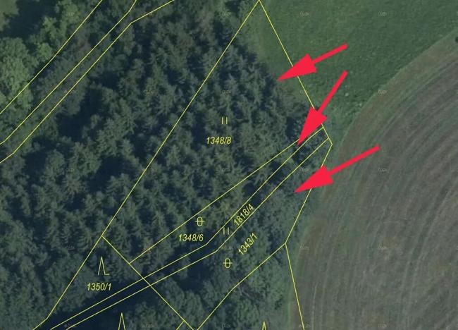 Prodej lesa, Horní Studénky, 1864 m2