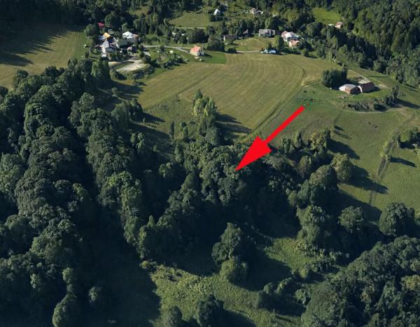 Prodej lesa, Železný Brod, 6562 m2