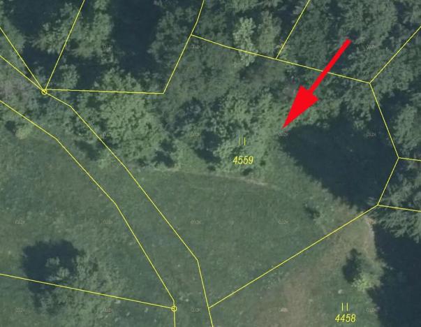 Prodej louky, Železný Brod, 2044 m2