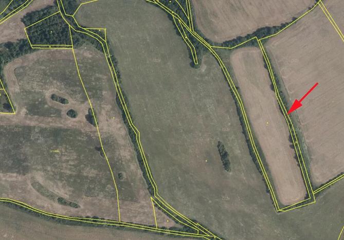 Prodej louky, Mašťov, 2645 m2