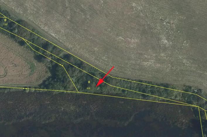 Prodej louky, Mašťov, 1371 m2