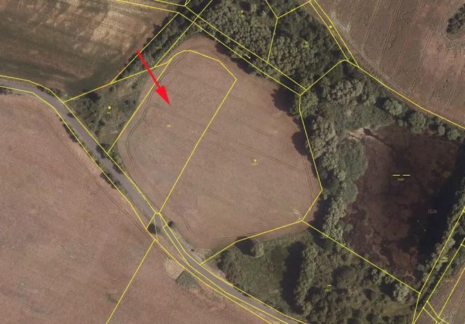 Prodej pole, Mašťov, 8153 m2