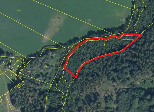 Prodej lesa, Borotice, 4280 m2