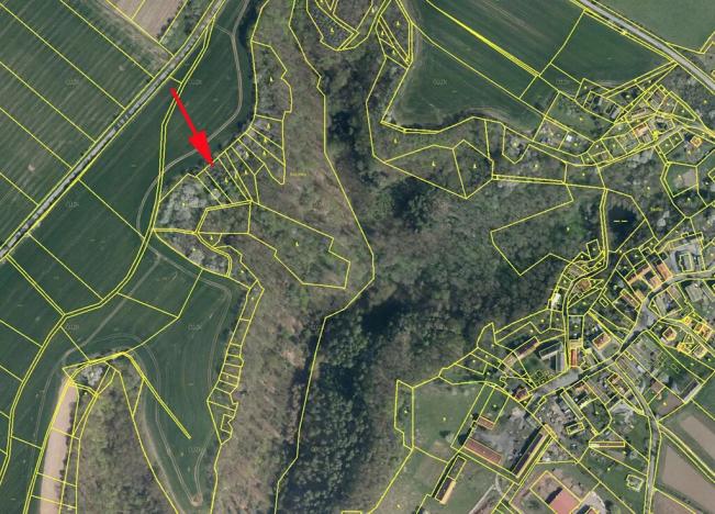 Prodej lesa, Mšeno, 1050 m2