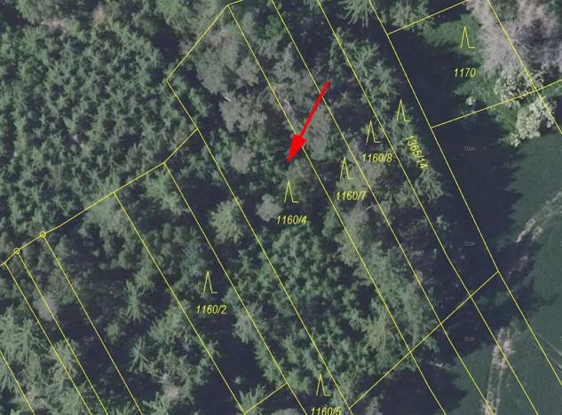 Prodej lesa, Trhový Štěpánov, 1133 m2