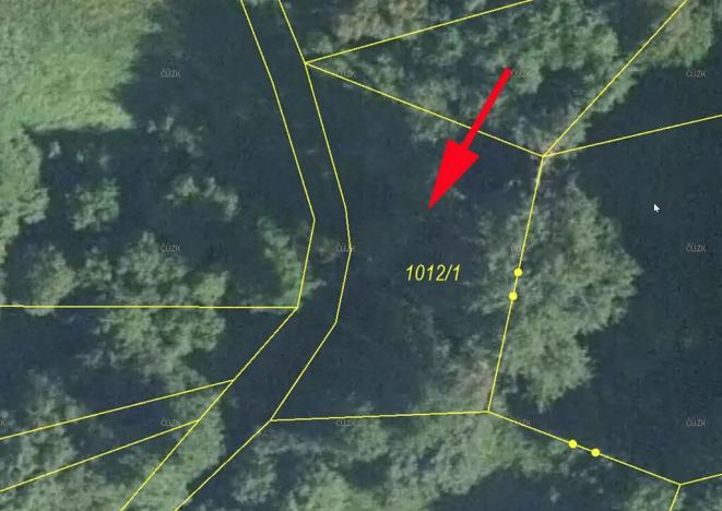 Prodej lesa, Bernartice, 611 m2