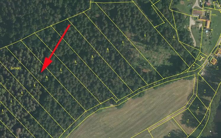 Prodej lesa, Zlatá Koruna, 4921 m2