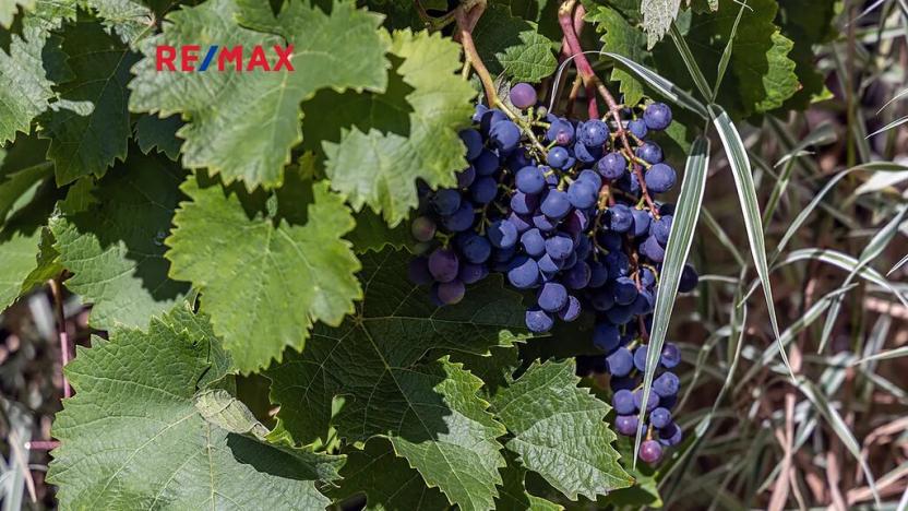 Prodej chalupy, Nový Oldřichov, 265 m2