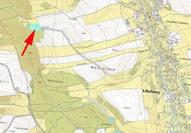 Prodej louky, Libchavy, 8415 m2