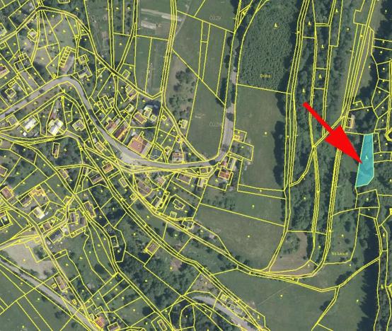 Prodej lesa, Roztoky u Semil, 1169 m2